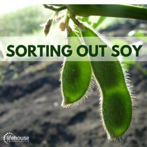 Chiropractic London ON Sorting Out Soy